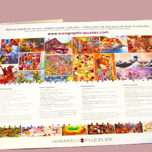 Venice Italy,Indian Pillows,BeiBiLa love Parrots High End 1000 Piece Puzzles Pre - Picture 10 of 12
